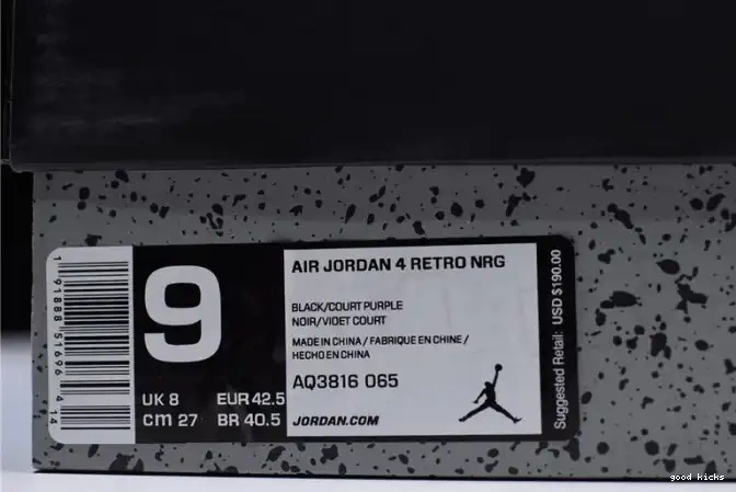 Cheap Air NRG 4 Jordan AQ3816-065 Retro Raptors